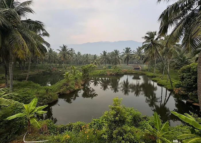 Evergreen Homestay