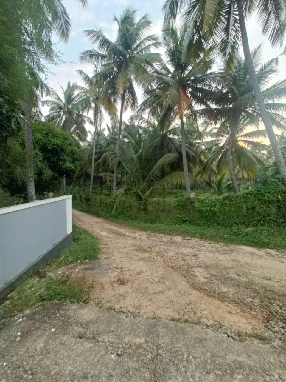 छुट्टी का घर Evergreen Kollengode